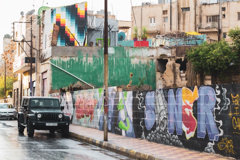 منح حكمت الثقافة